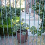 UBC and the Downtown Eastside: not so different