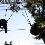 How Community Service Learning promotes learning