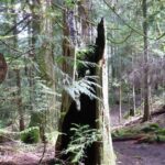 Living systems as guiding metaphors