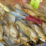 Is the focus on tenure and promotion a red herring?