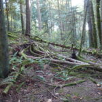 The first step across the divide