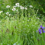 Moving along the innovation arc