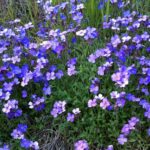 Aligning with our sense of purpose