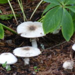 Learning to be a change agent