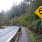 Motives for change: good intentions