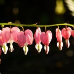 What are "social problems"?