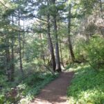 What if we are going down the wrong path?